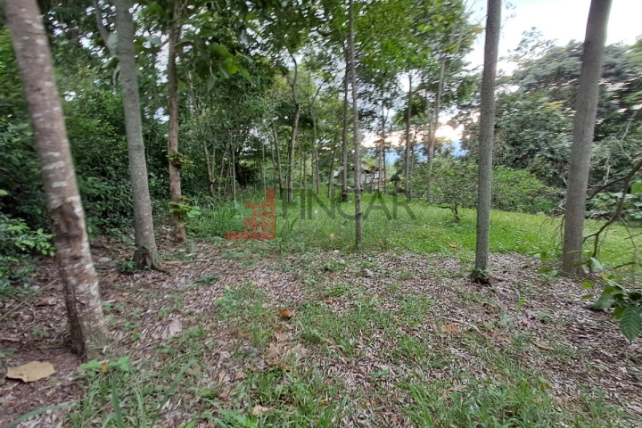 Vereda San Martin - Rio Frio