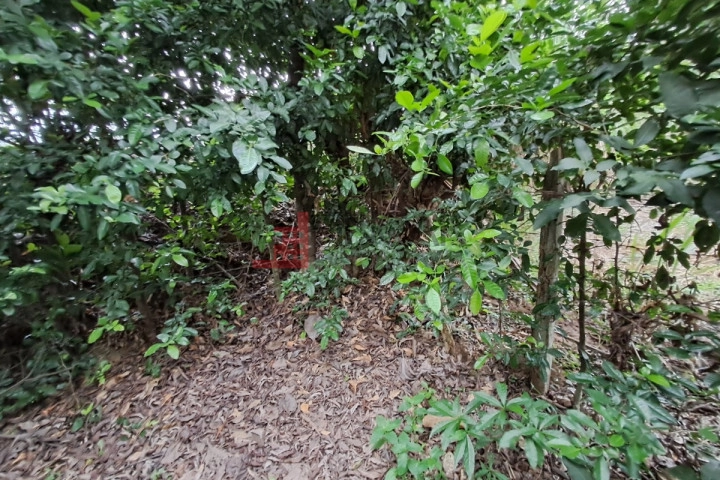 Vereda San Martin - Rio Frio